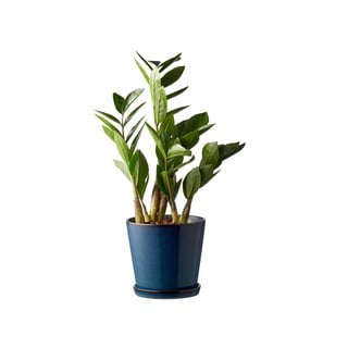 Kameninový obal na květináč ø 14 cm – Bitz