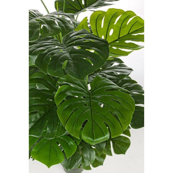 Umělá monstera (výška 120 cm) Philodendron – Bizzotto-image-2