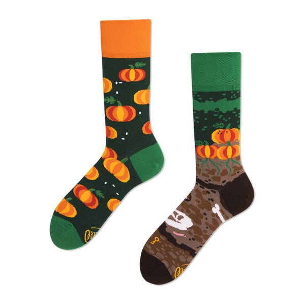Set ponožek Many Mornings Pumpkins, vel. 39–42