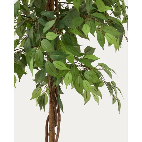 Umělý fíkus (výška 180 cm) Ficus – Kave Home-image-1