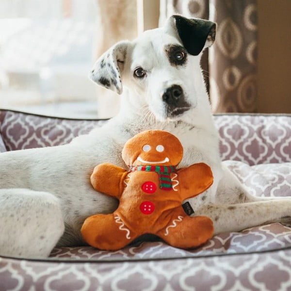 Hračka pro psa Gingerbread Man – P.L.A.Y.-image-1