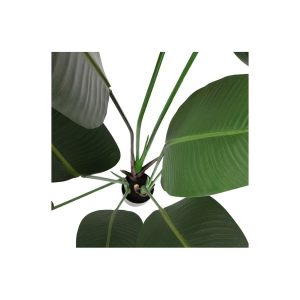 Umělá strelície (výška 164 cm) – WOOOD-image-3