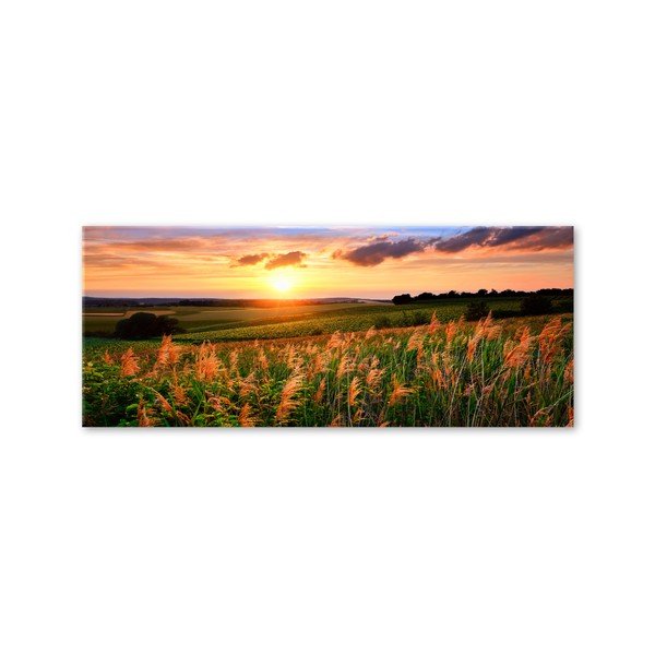 Obraz Styler Glas Sunset Meadow, 50 x 125 cm