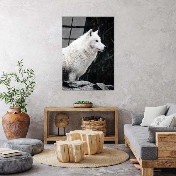 Skleněný obraz 70x100 cm White Wolf – Wallity-image-3