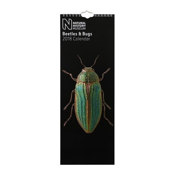 Úzký nástěnný kalendář pro rok 2018 Portico Designs Natural History Museum Beetles & Bugs