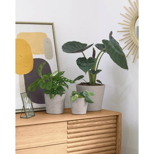 Betonové květináče v sadě 3 ks ø 23,5 cm Low – Kave Home-image-1
