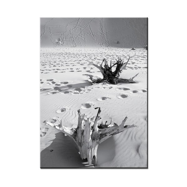Obraz Root, 50x70 cm