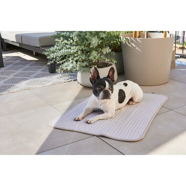 Šedá bavlněná deka pro psa 90x120 cm Onda Pebble L – MiaCara-image-1