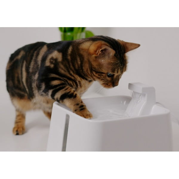 Fontána pro domácího mazlíčka Epic Pet Zen – Plaček Pet Products-image-1