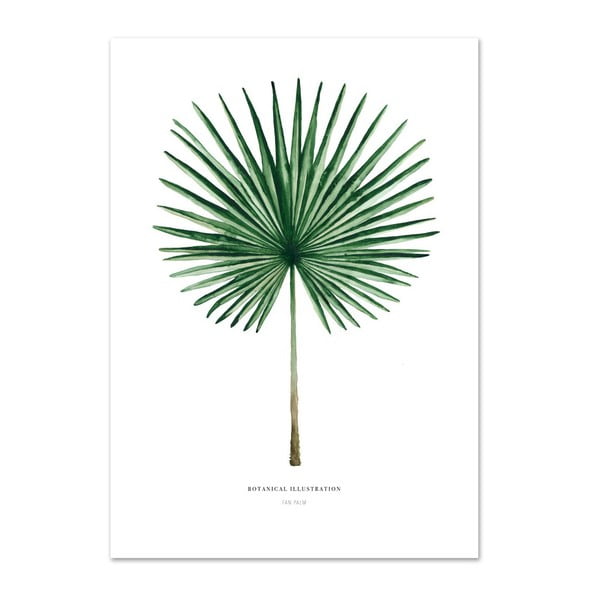 Plakát Leo La Douce Fan Palm, 29,7 x 42 cm