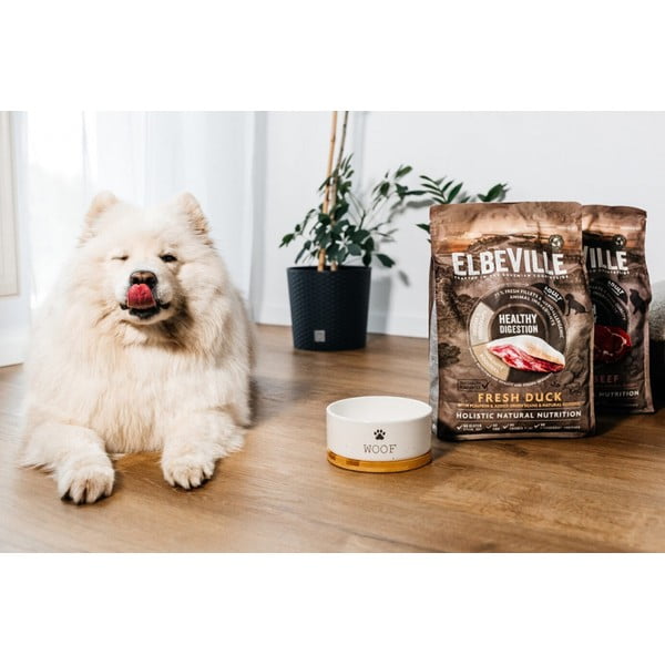 Keramická miska pro psa ø 16 cm Dog Fantasy WOOF – Plaček Pet Products-image-1