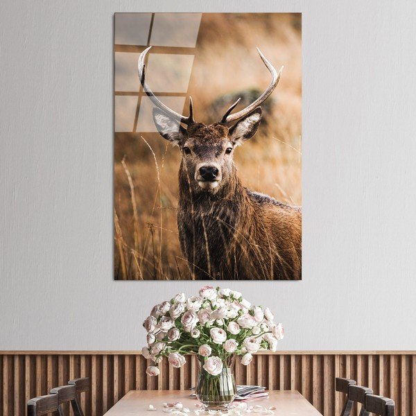 Skleněný obraz 70x100 cm Deer – Wallity-image-1