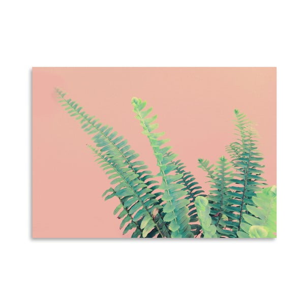 Plakát Americanflat Ferns On Pink, 30 x 42 cm
