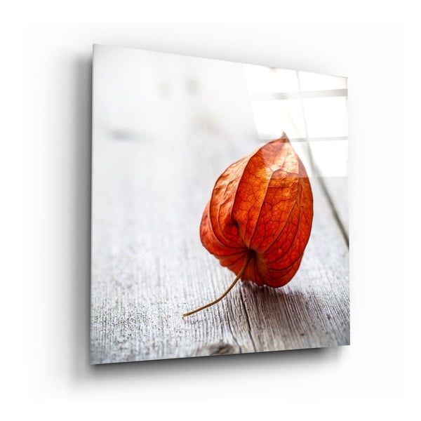 Skleněný obraz Insigne Dry Leaf, 100 x 100 cm