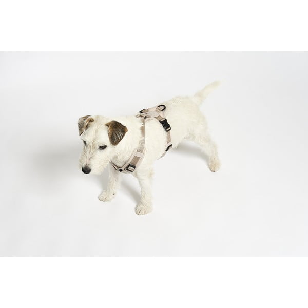 Béžový postroj velikost L délka 42 cm Modena Greige L – MiaCara-image-2