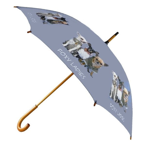 Deštník Chihuahua