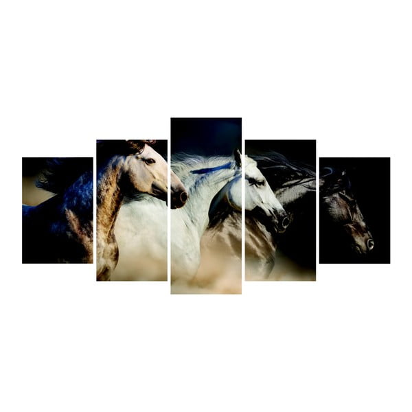Vícedílný obraz La Maison Des Couleurs Wild Horses