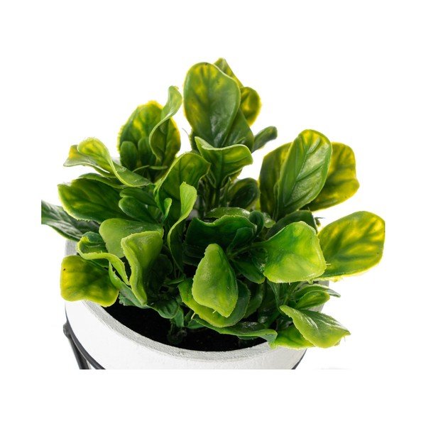 Umělé květiny v sadě 4 ks – Casa Selección-image-1