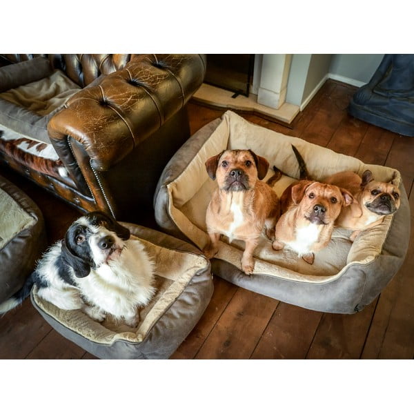 Světle hnědý pelíšek pro psa 50x65 cm – Madison-image-1