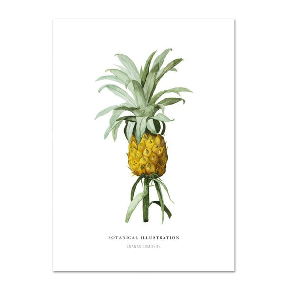 Plakát Leo La Douce Ananas Comosus, 21 x 29,7 cm