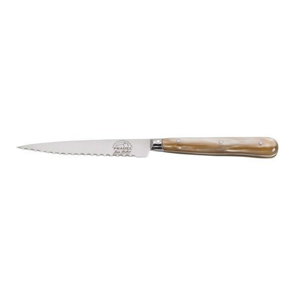 Nůž na steaky s akrylovou rukojetí Jean Dubost Steak 