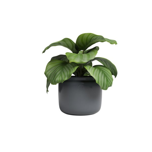 Keramický ručně vyrobený květináč ø 20 cm Astrea – Artevasi-image-3