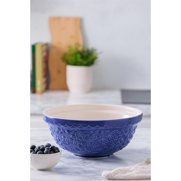 Modrá mísa z kameniny ø 26 cm Fruits Blueberry – Mason Cash-image-1