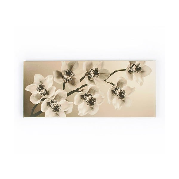 Obraz Graham & Brown Orchid Branch, 100 x 40 cm