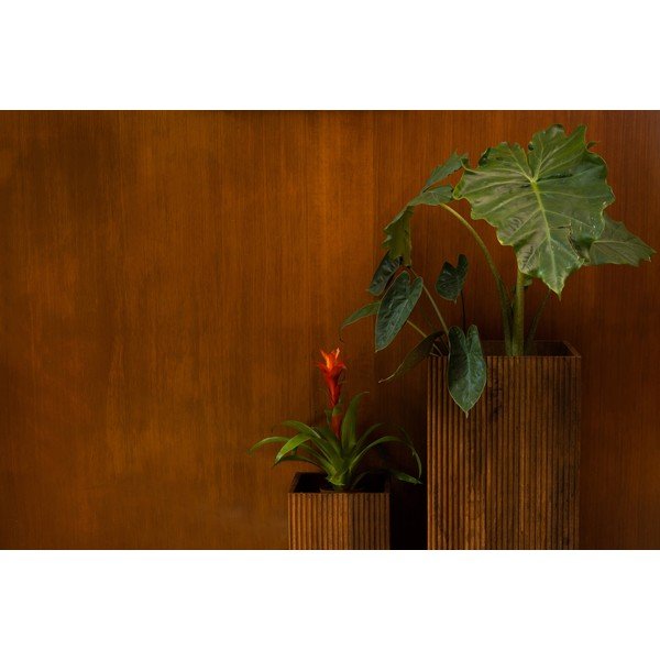 Dřevěné stojany na květiny v sadě 2 ks (výška 80 cm) Ribble – Dutchbone-image-3