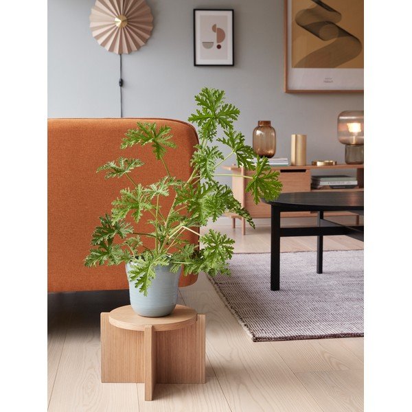 Béžové nástěnné svítidlo do zásuvky ø 48 cm Pliss – Hübsch-image-1