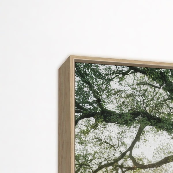 Obraz 150x60 cm Tree in the Sun-image-3