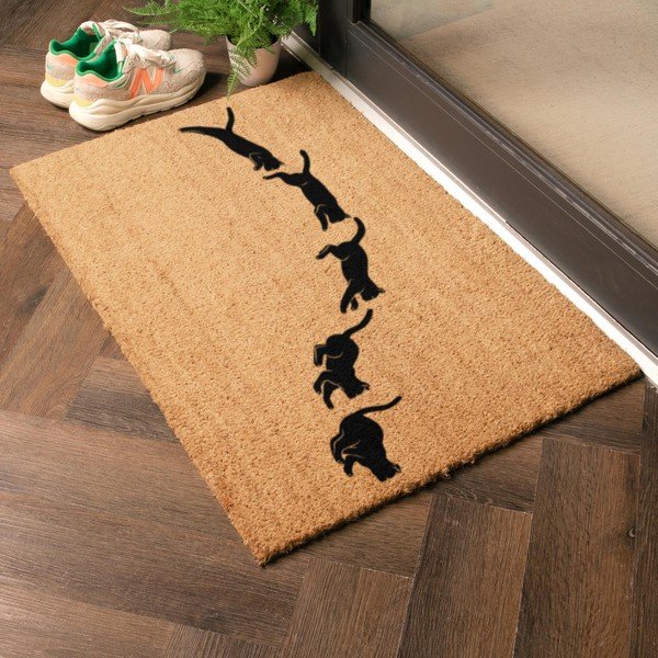 Rohožka z kokosového vlákna 40x60 cm Jumping Cats – Artsy Doormats-image-1