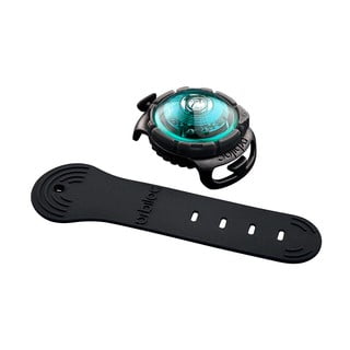 LED světlo na obojek Turquoise – Orbiloc