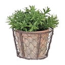 Drátěný koš s terakotovým květináčem Esschert Design