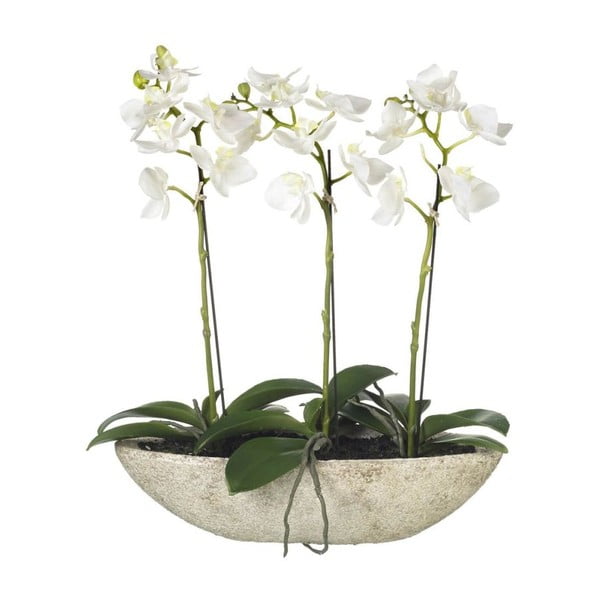 Umělé orchideje v květináči