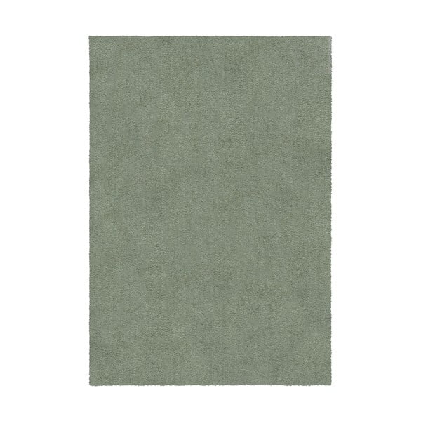 Zelený pratelný koberec z recyklovaných vláken 120x170 cm Fluffy – Flair Rugs