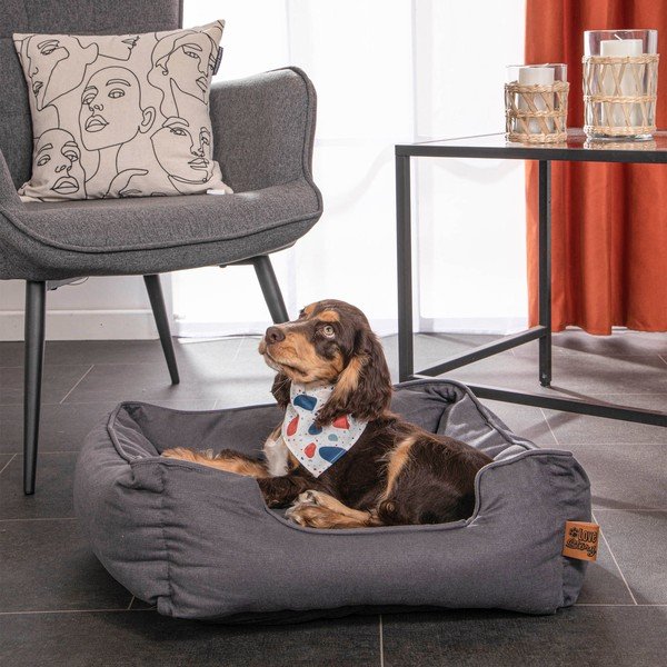 Modrý pelíšek pro psa 50x55 cm – Love Story-image-1