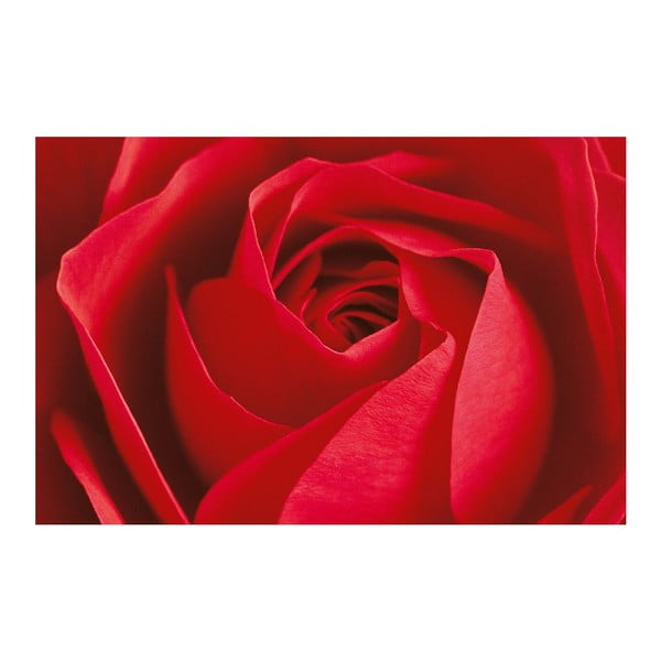 Maxi plakát La Rose, 175x115 cm