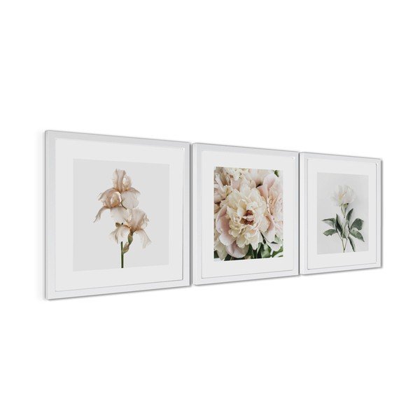 Tištěné obrazy v sadě 3 ks s rámem 30x30 cm Posy – Styler-image-4