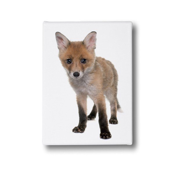 Obraz Mr. Little Fox Little Fox