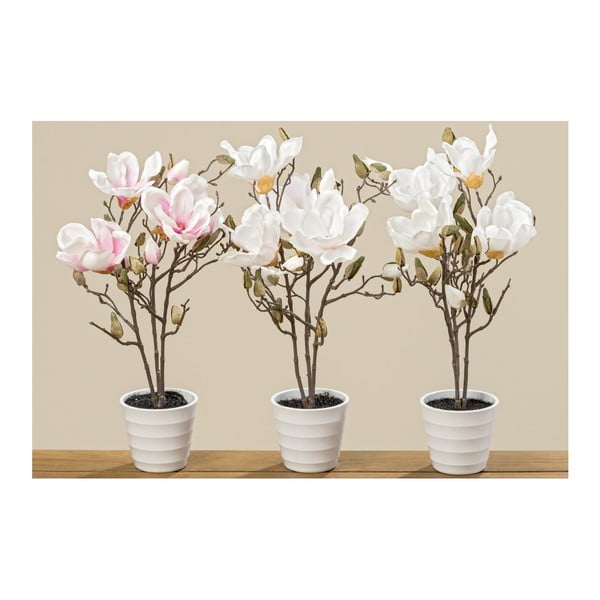Sada 3 květináčů s umělými magnoliemi Boltze, výška 50 cm