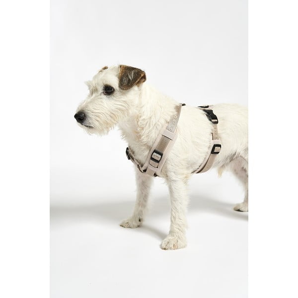 Béžový postroj velikost L délka 42 cm Modena Greige L – MiaCara-image-4