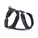 Tmavě šedý postroj velikost L délka 42 cm Modena Asphalt L – MiaCara