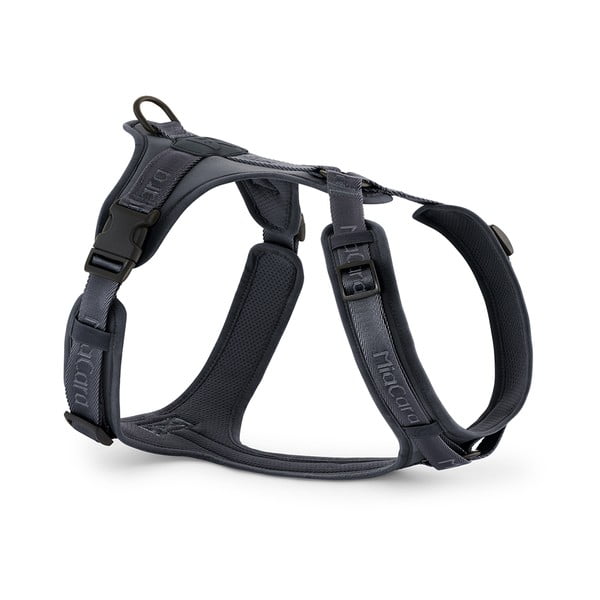 Tmavě šedý postroj velikost L délka 42 cm Modena Asphalt L – MiaCara