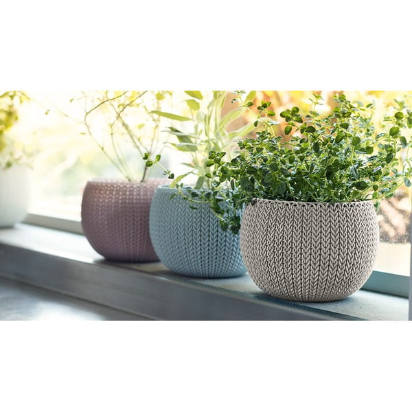 Plastové květináče v sadě 3 ks ø 15 cm Cozy – Keter-image-1