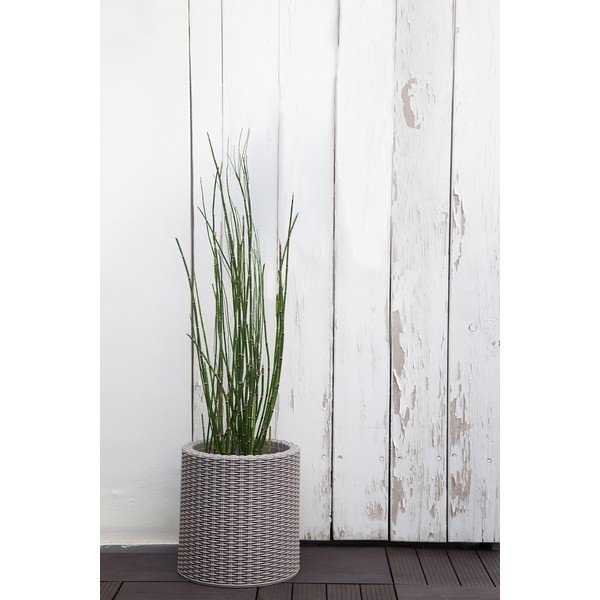 Plastový květináč ø 28 cm Cylinder – Keter-image-1