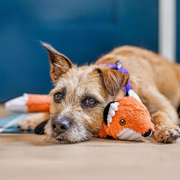 Hračka pro psa Liška – P.L.A.Y.-image-1