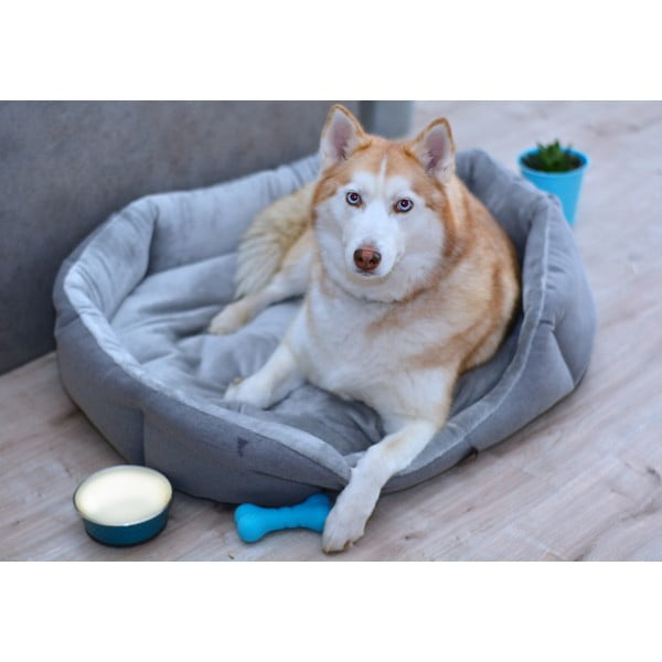 Šedý fleecový pelíšek 90x70 cm Alík - Petsy-image-1