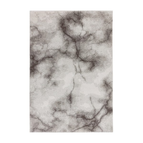 Šedý koberec 160x230 cm Dream – Asiatic Carpets
