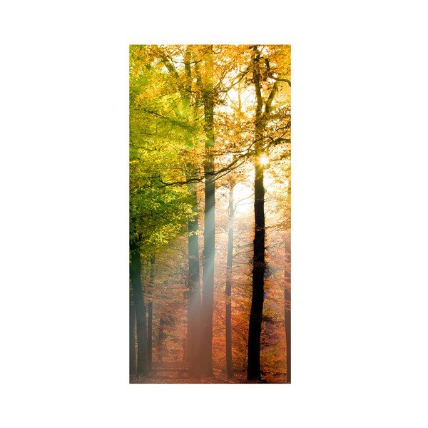 Velkoformátová tapeta Forest Lights-image-2